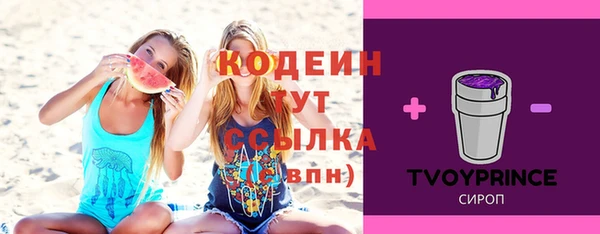 тгк Володарск