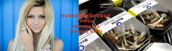 тгк Володарск